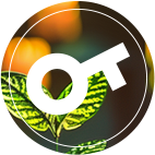 亚洲乱妇老熟女爽到高潮的片