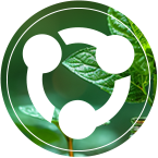 亚洲乱妇老熟女爽到高潮的片