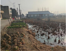 亚洲乱妇老熟女爽到高潮的片